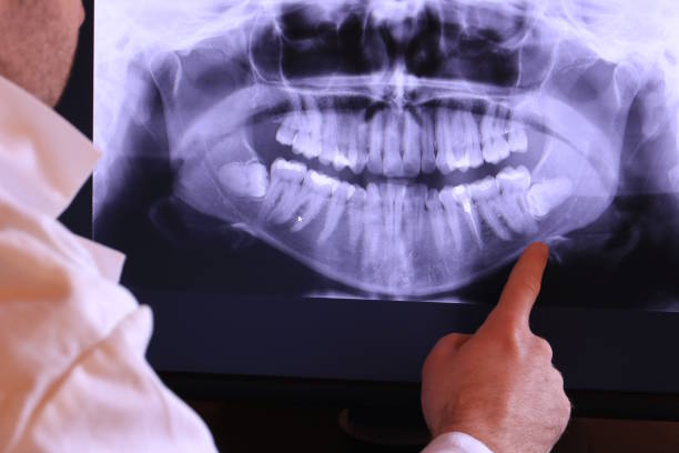 Best Emergency X-Rays and Diagnostics in Victor, ID